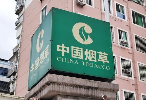 新疆煙草局校招開(kāi)啟 擴(kuò)招名額，高中起點(diǎn)，專(zhuān)業(yè)不限，軟件開(kāi)發(fā)崗位吸引貴州學(xué)子